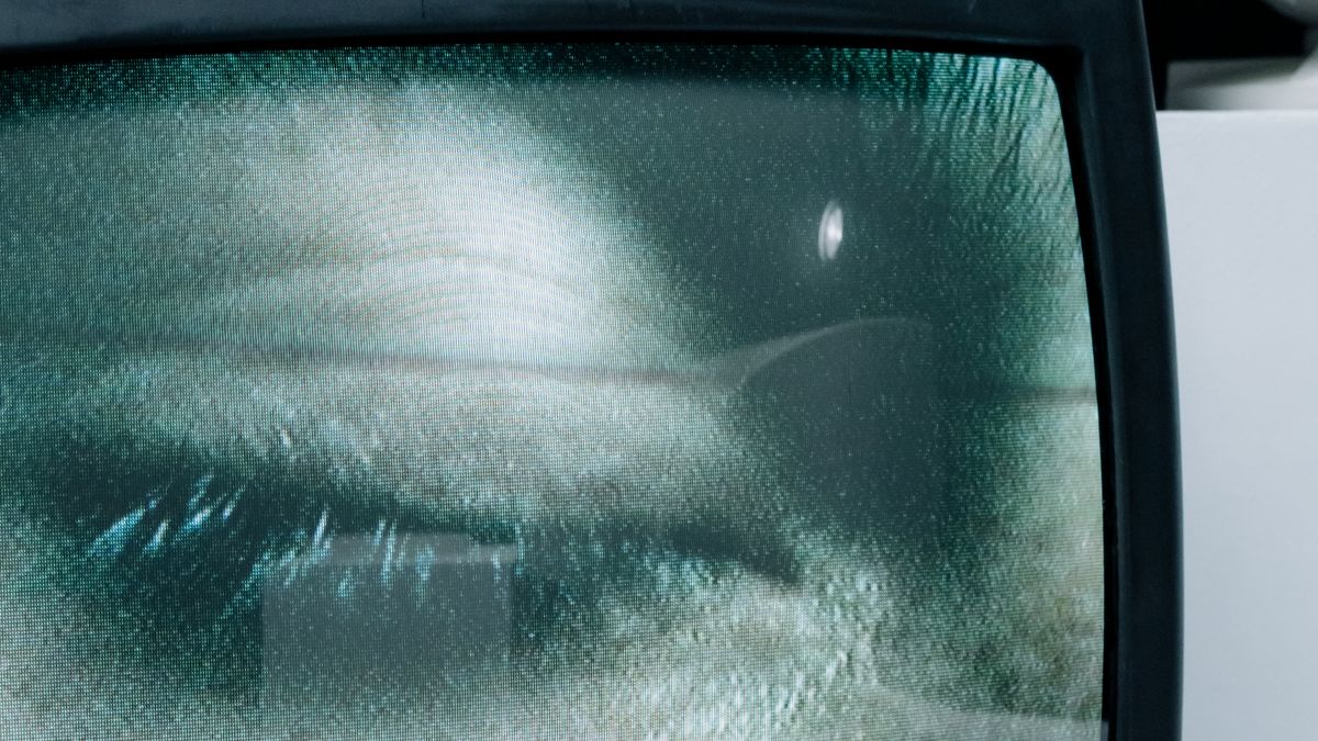 Blank TV guide? Fix a missing EPG in 4 steps — STREAMBOXES guide